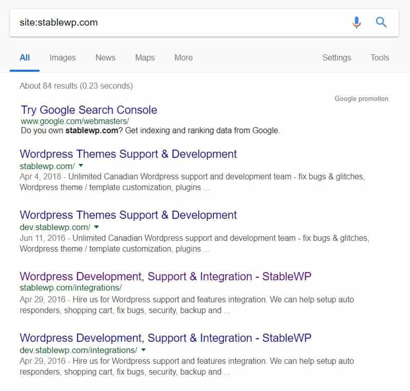 Example on how to check on your site is indexed on Google with the