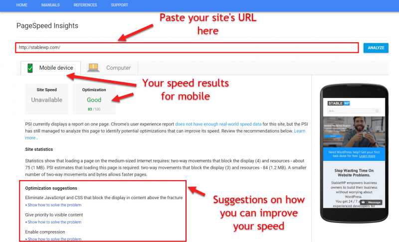 Screenshot of Google page speed insights tool with the most important elementes