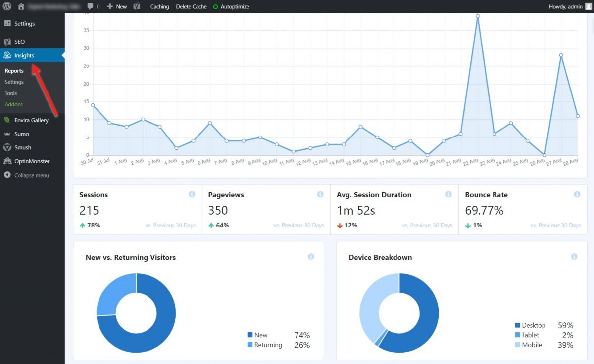 Monster Insights report in WP dashboard