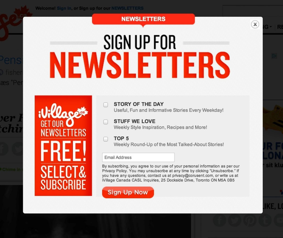 Newsletter email lead magnet 