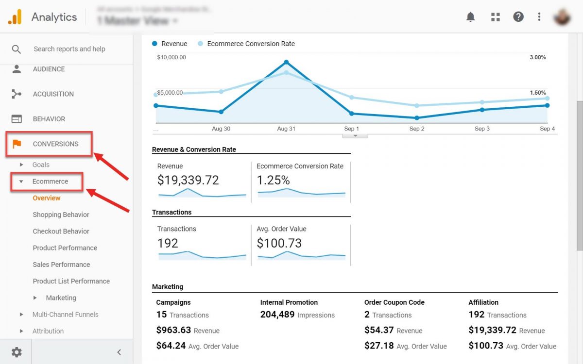 Ecommerce conversion report in GA