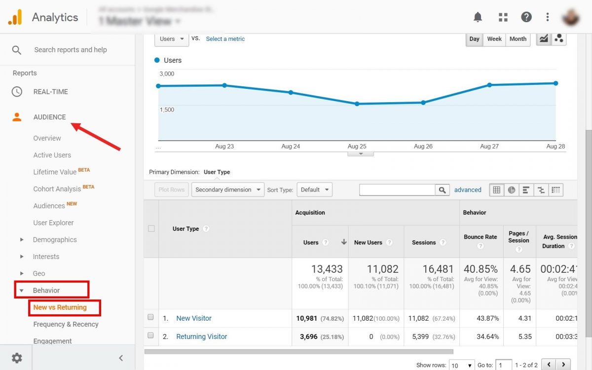 New vs returning visitors report in GA