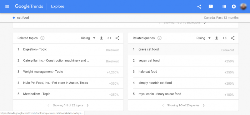 Screenshot of Google Trends related topics and related queries