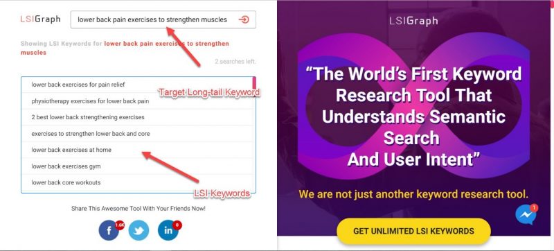 Screenshot of LSI Graph