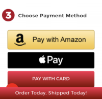 Screenshot of an e-commerce site offering digital wallets as payment options