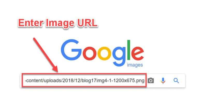 Screenshot of reverse image search in Google 