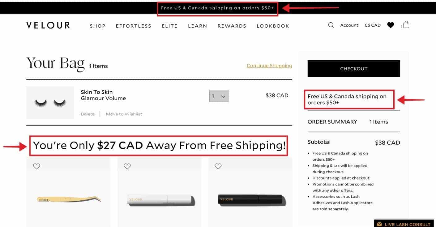 conditional free shipping on an e-commerce website