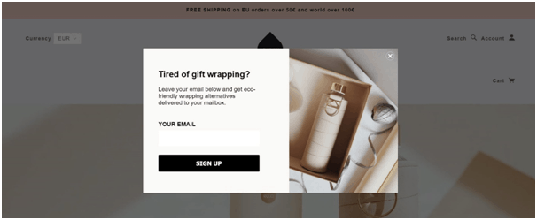 lead capture popup on the e-commerce landing page