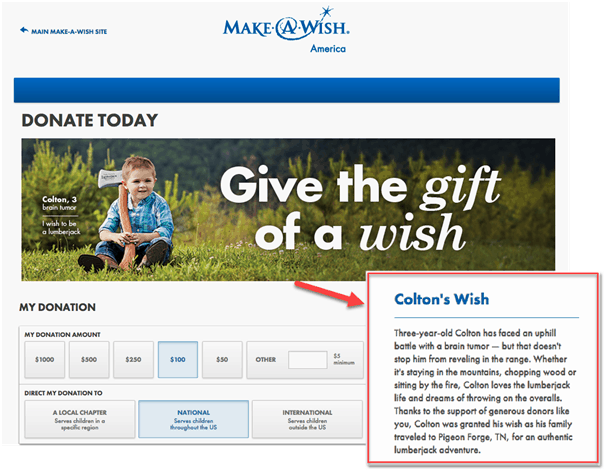 storytelling on Make a Wish landing page copy