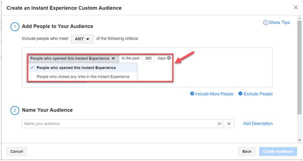 Instant Experience custom audience