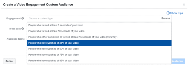 Video Engagement custom audience