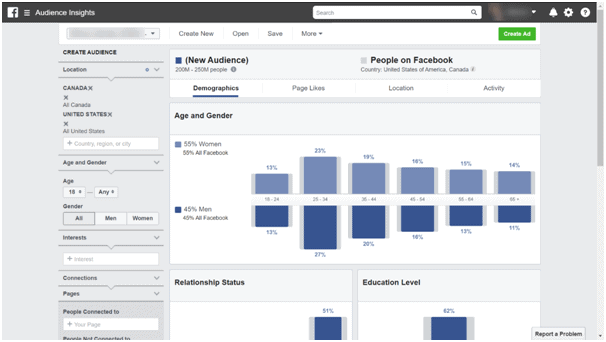 Facebook Business Manager demographics