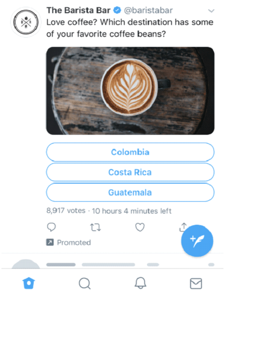 Twitter ad - poll example