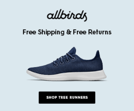 Display ad - allbirds