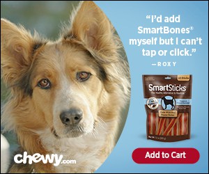 Display ad - Chewy