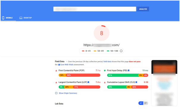 poor speed performance in pagespeed insights tool